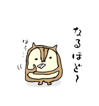 多分リス達のスタンプ（個別スタンプ：23）