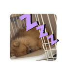 僕ちゃちゃまる（個別スタンプ：4）