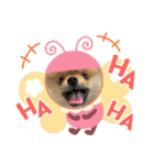 僕ちゃちゃまる（個別スタンプ：17）