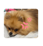 僕ちゃちゃまる（個別スタンプ：24）