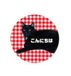 リアル黒猫あむちゃんスタンプ（個別スタンプ：1）