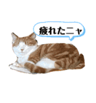 平和猫村ねこづくめ（個別スタンプ：12）