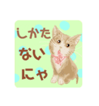 りぼん猫らぶりーにゃ気遣い♡毎日便利可愛（個別スタンプ：5）