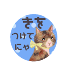 りぼん猫らぶりーにゃ気遣い♡毎日便利可愛（個別スタンプ：7）