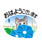 花と子猫に癒されて（個別スタンプ：1）