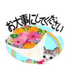 花と子猫に癒されて（個別スタンプ：6）