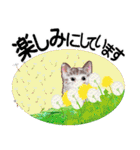 花と子猫に癒されて（個別スタンプ：11）