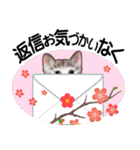 花と子猫に癒されて（個別スタンプ：15）