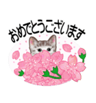 花と子猫に癒されて（個別スタンプ：17）