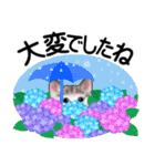 花と子猫に癒されて（個別スタンプ：20）