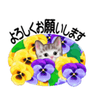 花と子猫に癒されて（個別スタンプ：21）