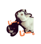 おにぎりとおむすび(多分3個目)（個別スタンプ：5）