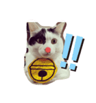 おにぎりとおむすび(多分3個目)（個別スタンプ：11）