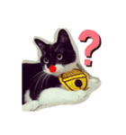 おにぎりとおむすび(多分3個目)（個別スタンプ：12）