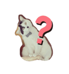 おにぎりとおむすび(多分3個目)（個別スタンプ：20）
