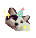おにぎりとおむすび(多分3個目)（個別スタンプ：23）