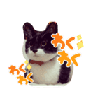 おにぎりとおむすび(多分3個目)（個別スタンプ：26）