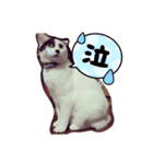 おにぎりとおむすび(多分3個目)（個別スタンプ：28）