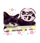 おにぎりとおむすび(多分3個目)（個別スタンプ：32）