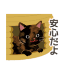 かわいいサビネコ（個別スタンプ：10）