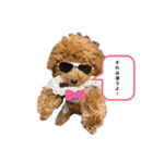 BIBIちゃん初年度（個別スタンプ：2）