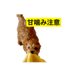 BIBIちゃん初年度（個別スタンプ：8）