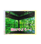 旅人ふーさんのスタンプ 旅編（個別スタンプ：18）