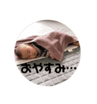 らんちゃんのスタンプ♡②（個別スタンプ：6）