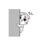 まろねこさん（個別スタンプ：31）