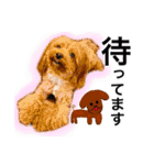 犬好きと猫好きのためのスタンプ（個別スタンプ：32）