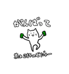 ニャンちゃースタンプ1（個別スタンプ：10）