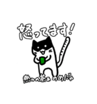 ニャンちゃースタンプ1（個別スタンプ：24）
