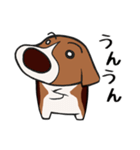 ビーギー犬 はなぼっち（個別スタンプ：5）