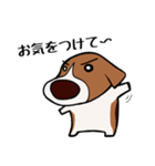 ビーギー犬 はなぼっち（個別スタンプ：9）