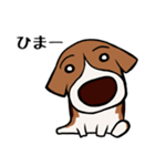 ビーギー犬 はなぼっち（個別スタンプ：21）