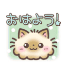 猫まつり♡﻿もちねこ日常スタンプ（個別スタンプ：1）