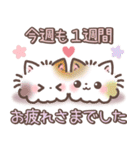 猫まつり♡﻿もちねこ日常スタンプ（個別スタンプ：10）