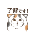 ◎和猫◎使える敬語スタンプ（個別スタンプ：1）