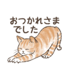 ◎和猫◎使える敬語スタンプ（個別スタンプ：16）