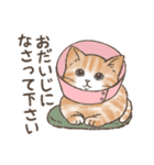 ◎和猫◎使える敬語スタンプ（個別スタンプ：29）