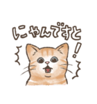 ◎和猫◎使える敬語スタンプ（個別スタンプ：34）