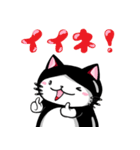 ぷるもちねこ（個別スタンプ：3）