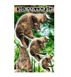トドもどき猫BIGスタンプ（funnyCat）（個別スタンプ：5）
