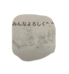 コーネリランチパッド（個別スタンプ：13）
