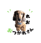 レオすたんぷ。（個別スタンプ：2）