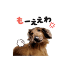 レオすたんぷ。（個別スタンプ：4）