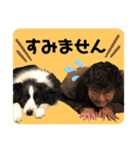 サーフショップ看板犬のグラ（個別スタンプ：4）