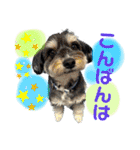 ぽにょちゃんの日常3（個別スタンプ：3）