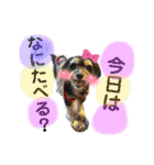 ぽにょちゃんの日常3（個別スタンプ：4）