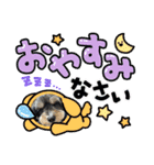 ぽにょちゃんの日常3（個別スタンプ：12）